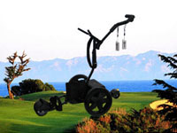 Golf Trolleys - Model R-105FR