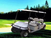 Golf Buggies - Model R-418GD