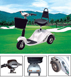 Mobility Scooter - Model R-309